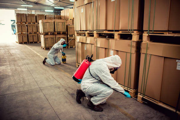Reliable Stafford Courthouse, VA Pest Control Solutions