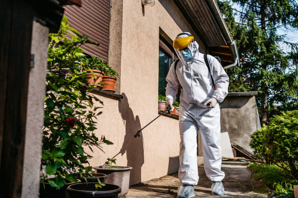 Best Local Pest Control Services  in Stafford Courthouse, VA